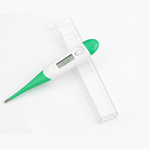 Digital Electronic Thermometer