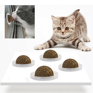 Cat Catnip Ball Snacks Pet Wall Mount Teething Ball Toys
