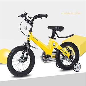 Children Bicycle with Training Wheels